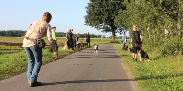 Katja Meyn - Hundetraining & Hundeschule - Trainingsspaziergänge, geführte und angeleitete Spaziergänge