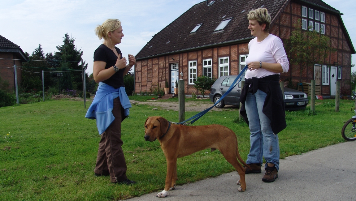 Katja Meyn - Hundetraining & Hundeschule - Einzeltraining, Individuelle Beratung, Persönliche Beratung