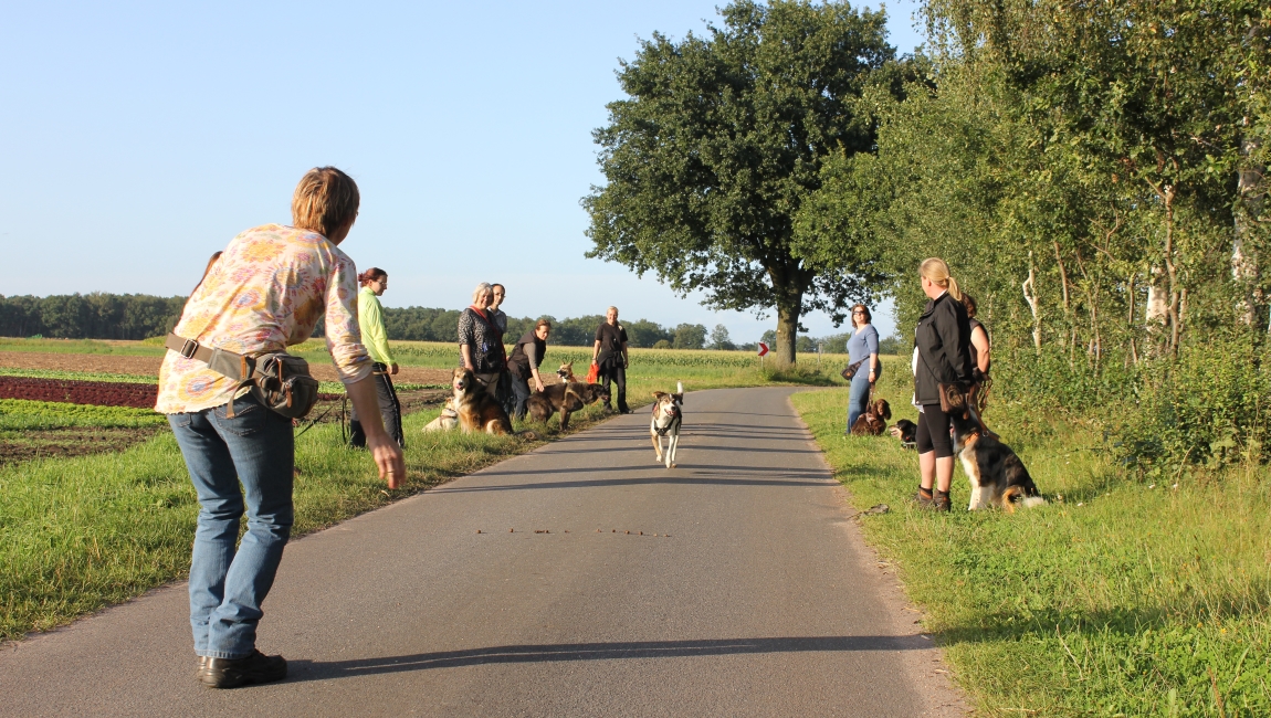 Katja Meyn - Hundetraining & Hundeschule - Trainingsspaziergänge, geführte und angeleitete Spaziergänge