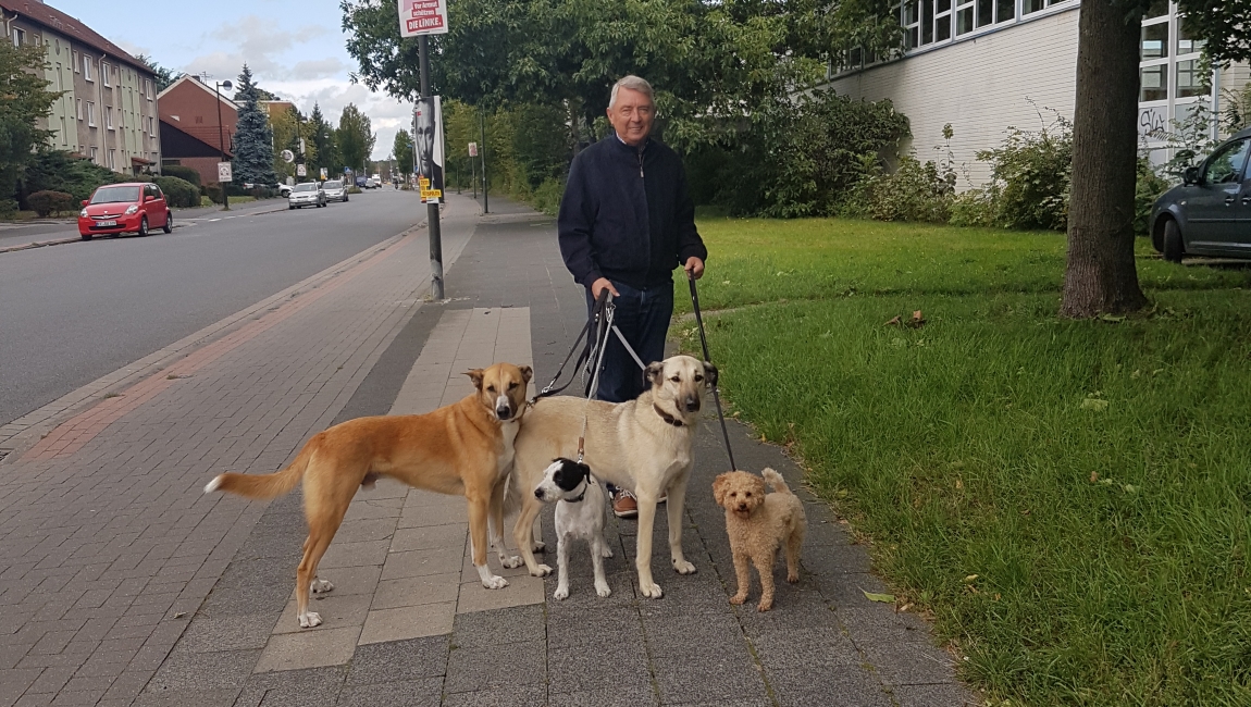 Katja Meyn - Hundetraining & Hundeschule - Workshop für Mehrhundehalter